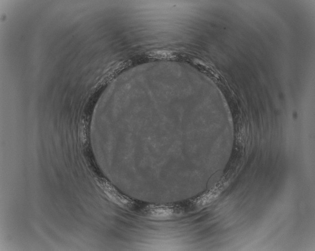 X0000062630658200601181721