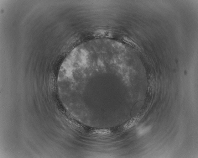 X0000062630659200601181721