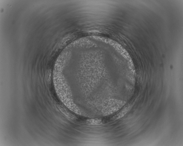 X0000062630660200601181721