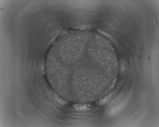 X0000062630661200601181721