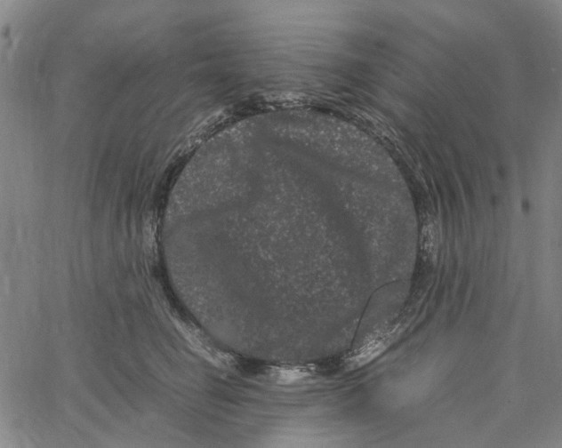 X0000062630662200601181721