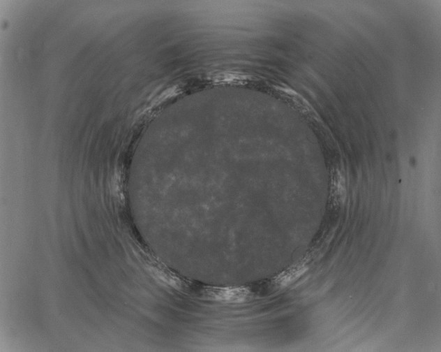 X0000062630663200601181721