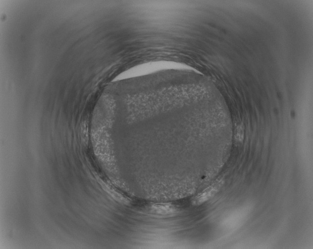 X0000062630666200601181721