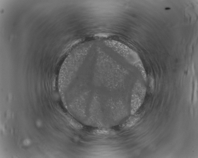 X0000062630668200601181721