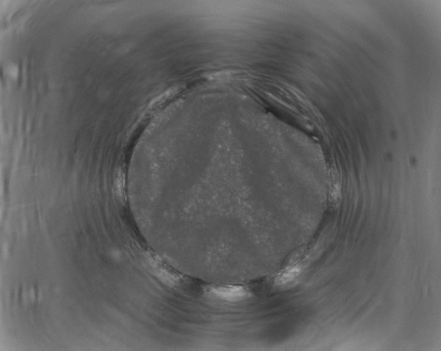 X0000062630669200601181721