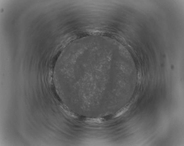 X0000062630671200601181721