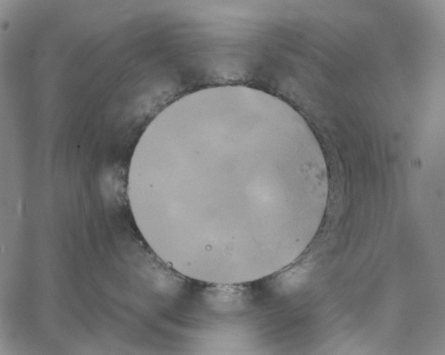 X0000062630672200601181721