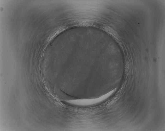 X0000062630673200601181720