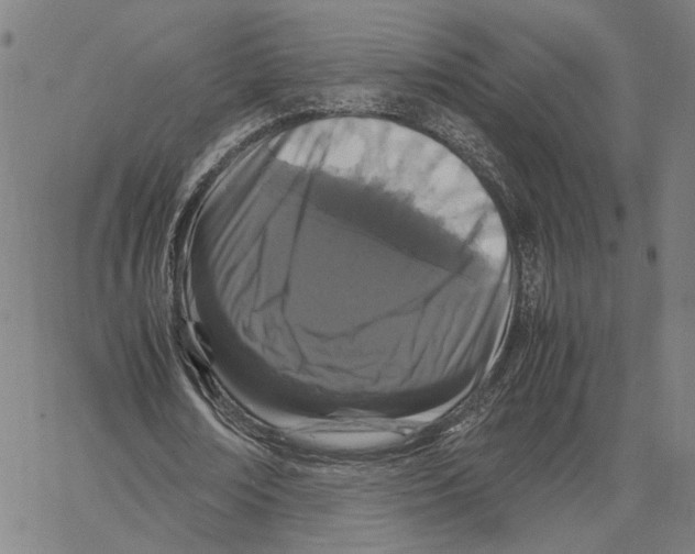 X0000062630674200601181720