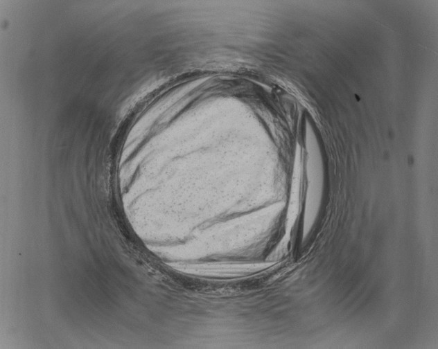 X0000062630675200601181720