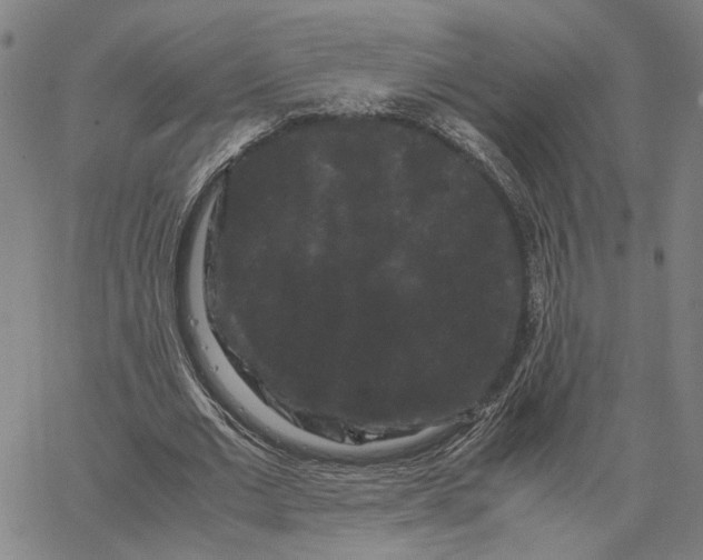 X0000062630677200601181720