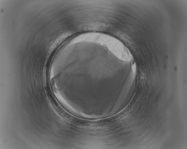 X0000062630678200601181720