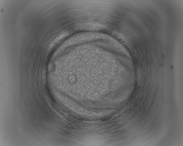 X0000062630679200601181720