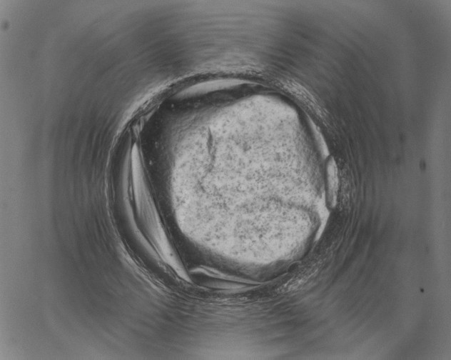 X0000062630680200601181720