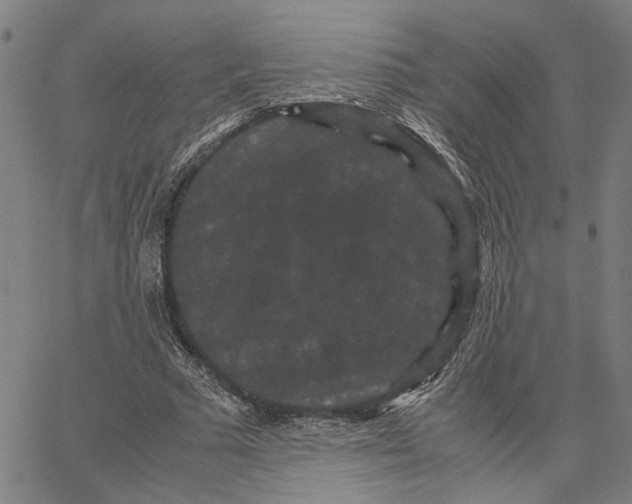 X0000062630681200601181720