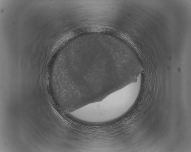 X0000062630683200601181720