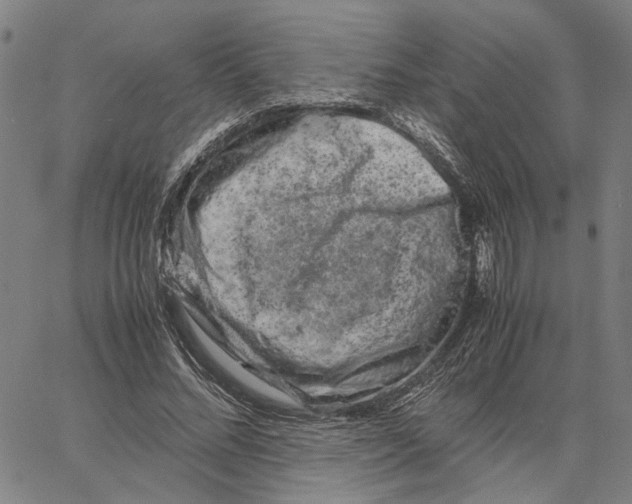 X0000062630684200601181720