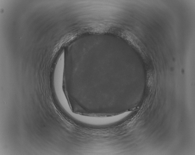 X0000062630685200601181720