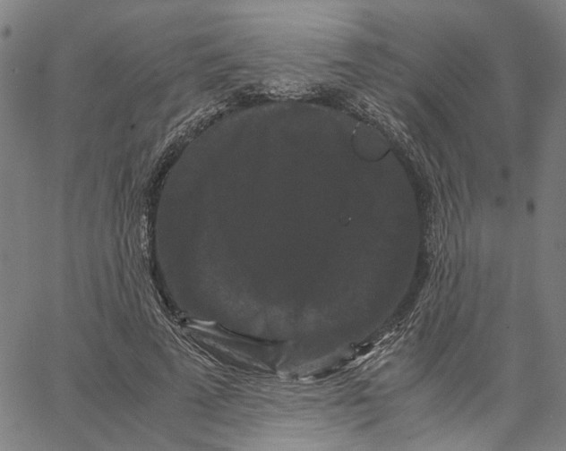 X0000062630689200601181720