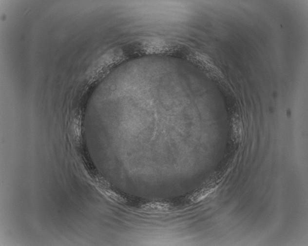 X0000062630691200601181720