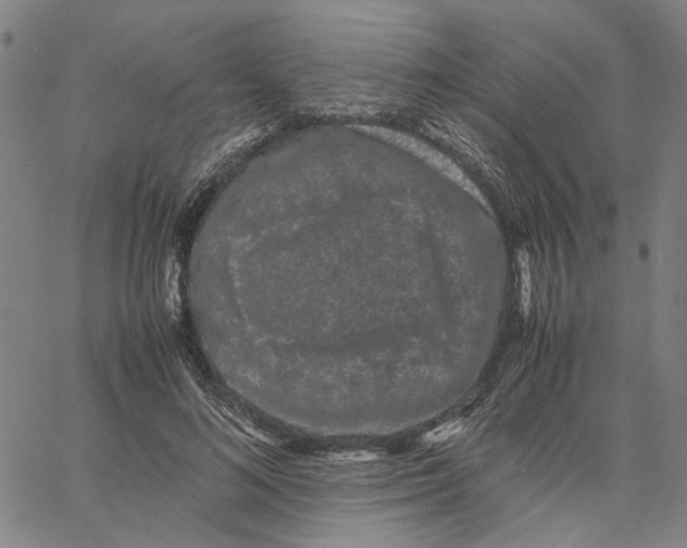 X0000062630692200601181720