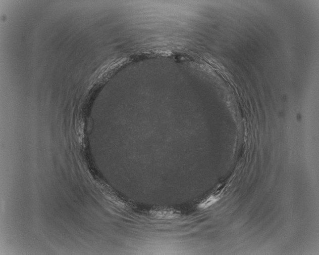 X0000062630693200601181720