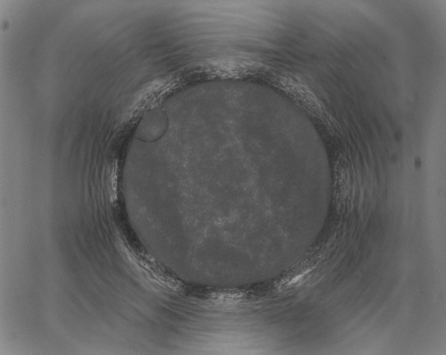 X0000062630694200601181720