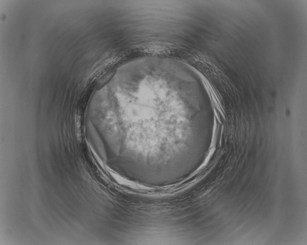 X0000062630696200601181720