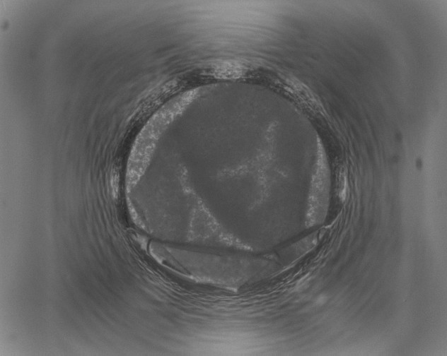 X0000062630697200601181720