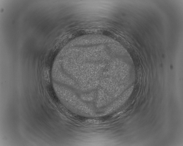 X0000062630699200601181720