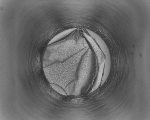 X0000062630700200601181720