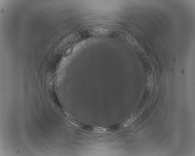 X0000062630701200601181720