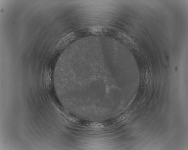 X0000062630702200601181720