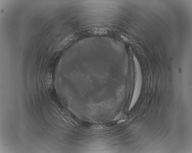 X0000062630704200601181720