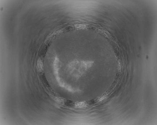 X0000062630705200601181720