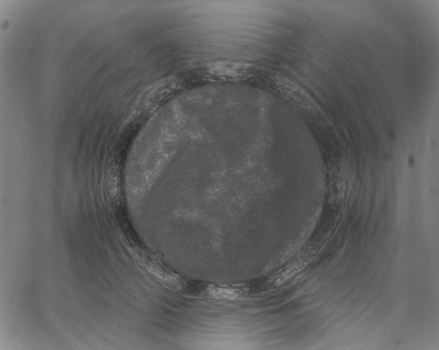 X0000062630706200601181720