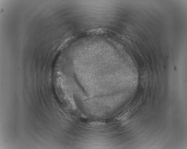 X0000062630708200601181720