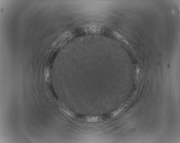 X0000062630709200601181720