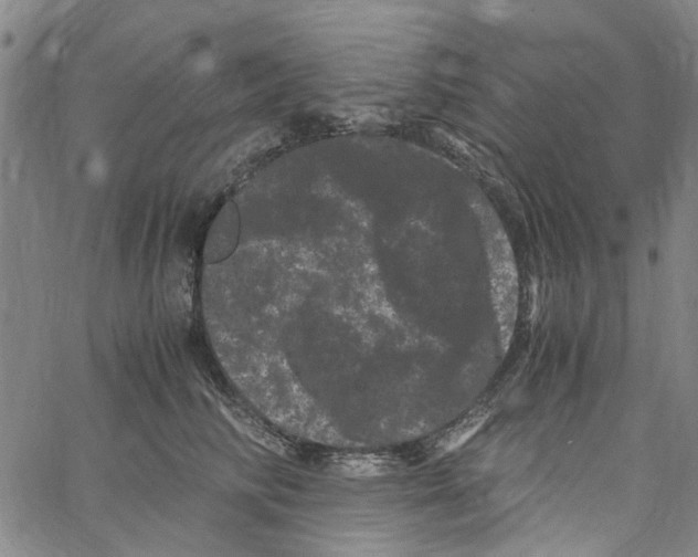 X0000062630710200601181720