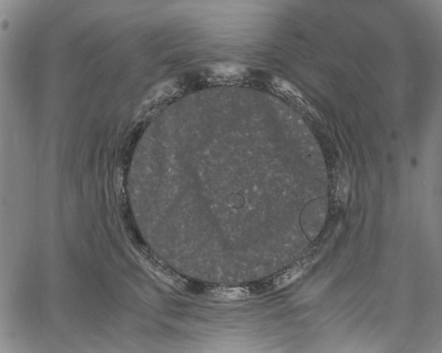 X0000062630711200601181720