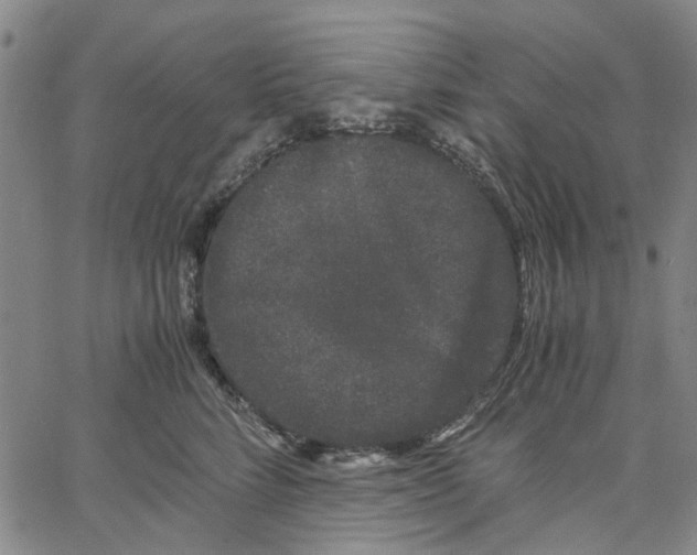 X0000062630712200601181720