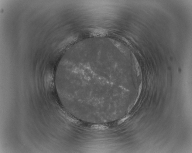 X0000062630714200601181720