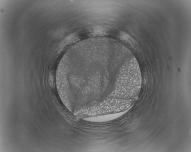 X0000062630715200601181720