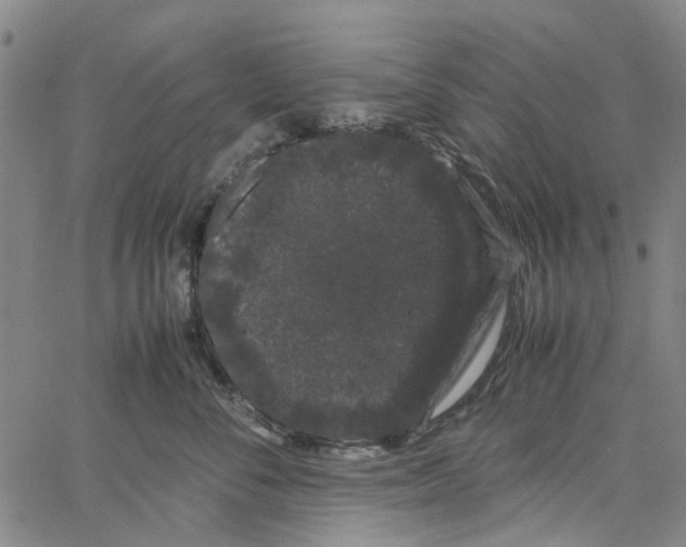 X0000062630716200601181720