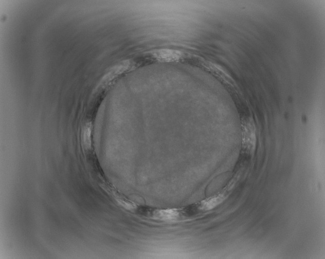 X0000062630717200601181720