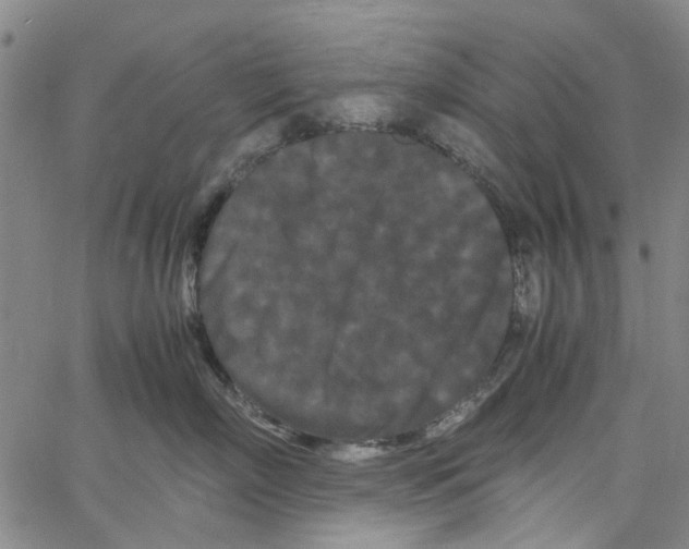 X0000062630718200601181720