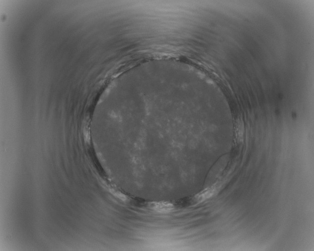 X0000062630719200601181720