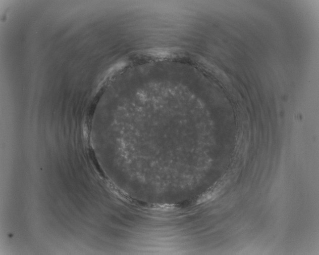 X0000062630720200601181720