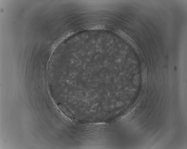 X0000062630721200601181719