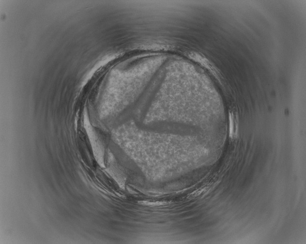 X0000062630723200601181719